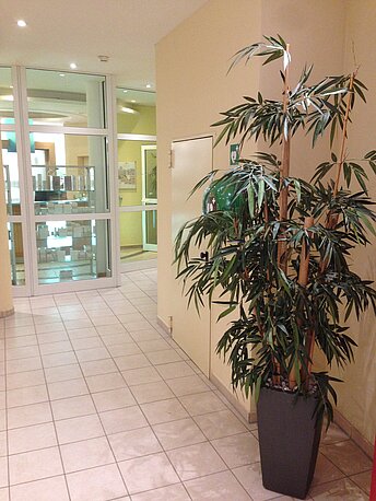 Direkt hinter der Blume hängt der AED an der Wand